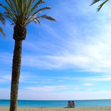 Suitur Duquesa Playa Piscina *